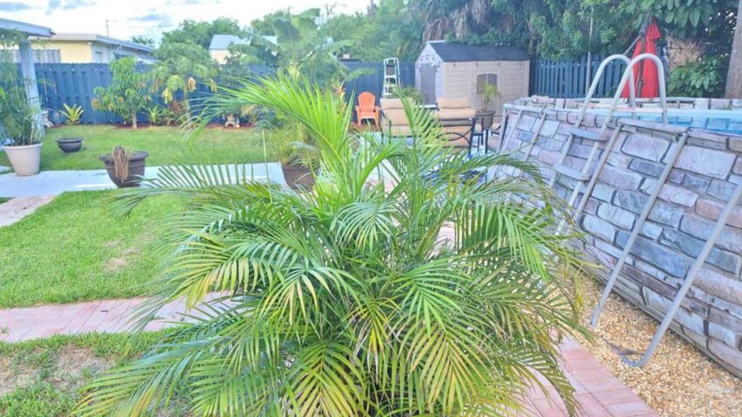 Palm Springs 3-Bedroom 2-Bath 5 Miles To The Beach Lake Worth Beach Zewnętrze zdjęcie